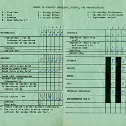 green transcript with small grade marks