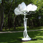 Boyajian-Wildflower1