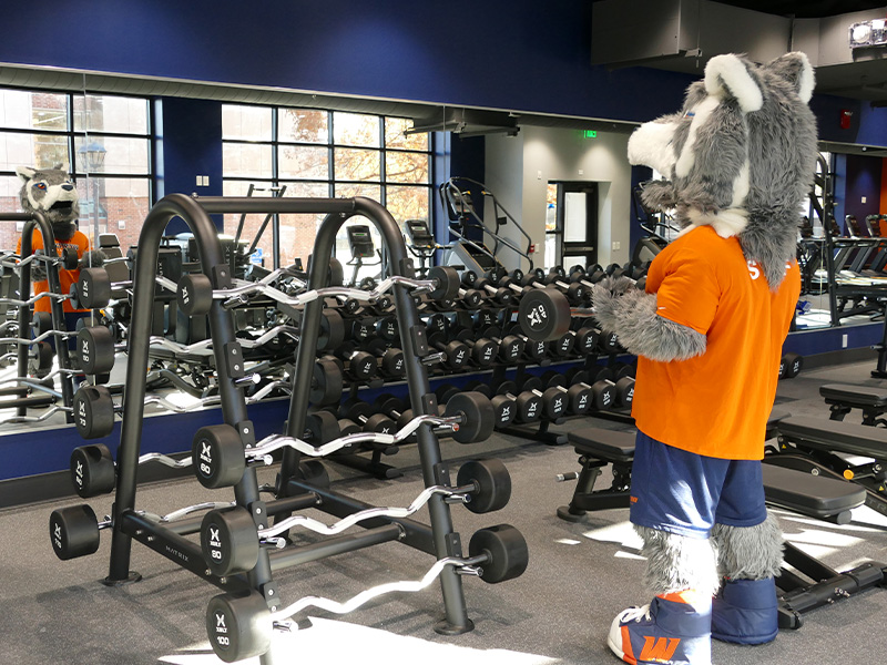 Berkshire Fitness Gym