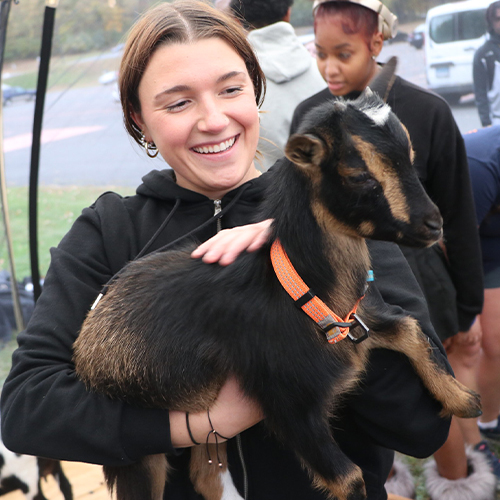 WCSU Recreation - Wellness