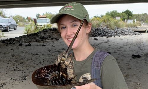 WCSU&rsquo;s M.S. in Integrative Biological Diversity program leads to sweet smell of success for Katie Cunningham